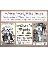 Where&#39;s Woody Hidden Image Adult Coloring Book with 50 Printable Pages, ... - $4.00