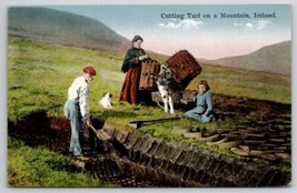 Cutting Turf On Mountain In Ireland With Donkey Mule Postcard R28 - $12.95