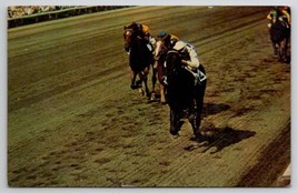 Horse Racetrack Big A Aqueduct Long Island To The Finish Line Postcard D25 - £6.72 GBP