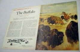 1961 Magazine Picture Native American Hunts Buffalo Illustrated by Douglas Allen - £10.47 GBP