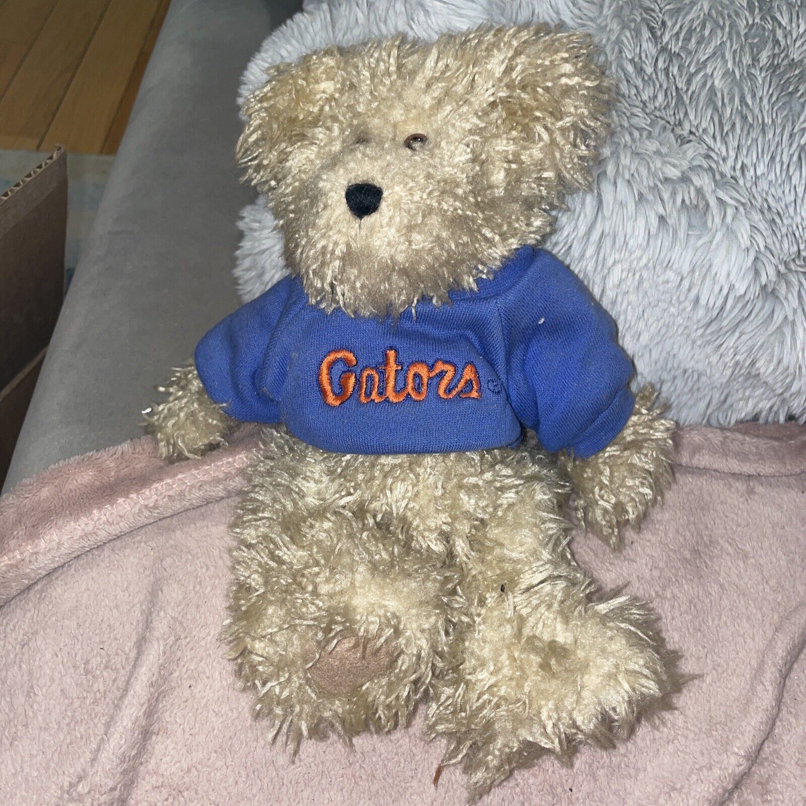 Vintage Boyds Collection 10&quot; Plush Stuffed Bear UF Florida Gators - $4.95