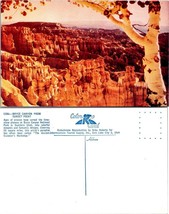 Utah(UT) Bryce Canyon National Park From Sunset Point Birch Tree VTG Postcard - £7.51 GBP
