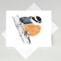 Red-breasted Nuthatch Note Cards - £3.18 GBP+