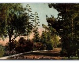 Drive on Smiley Heights Redlands California CA UNP DB Postcard G18 - $3.91