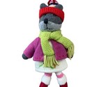 Midwest-CBK Ornament Stuffed Girl Raccoon in Winter Outfit  Plush Christ... - $6.88