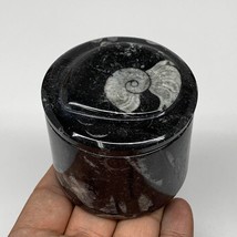 215.4g, 2.1&quot;x2.4&quot; Black Fossils Ammonite Orthoceras Jewelry Box @Morocco,F2507 - £14.05 GBP