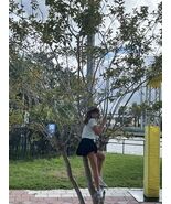 Recollections Christmas Lot of 17, 1 Hero Art Stamp, & 1 Stampendous Wood Stamps