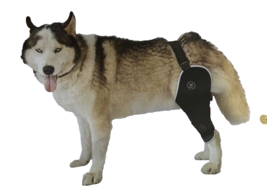 Dog Knee Brace for Torn Acl Hind Leg,Knee Brace for Dogs Acl with Size L... - £28.90 GBP