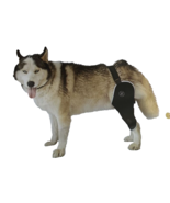 Dog Knee Brace for Torn Acl Hind Leg,Knee Brace for Dogs Acl with Size L... - £28.43 GBP