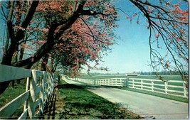 Picturesque Horse Farm near Lexington Kentucky Postcard - £3.85 GBP