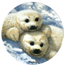 Baby Seals Decorative Plate Mike Jackson Beauty of Polar Wildlife B5323 England - £15.45 GBP