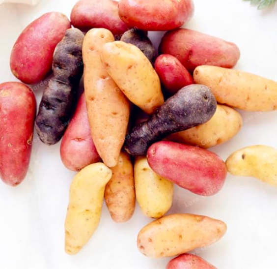 Russian Banana Fingerling Potato Seeds Color:Mix - $9.99
