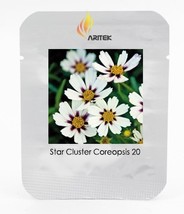 New Fresh Star Cluster Perennial White Purple Coreopsis Flower Seeds Pack 20 See - £3.00 GBP