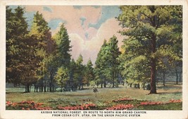 Postcard Kaibab National Forest Grand Canyon National Park Union Pacific F15 - £5.08 GBP
