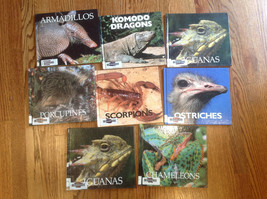 The Child&#39;s World Book lot of 8 Iguanas,Chameleos,Scorpions,Armadillos,Porcuppin - £15.70 GBP