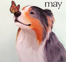 Australian Shepherd Butterfly May Dog Days Poster Calendar 14 x 11&quot; DWDDCal - $29.99