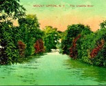 Mount Upton The Unadilla River New York NY 1909 DB Postcard E6 - $5.89