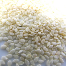 Sesame Seeds White Whole 1/4 oz Culinary Herb Spice Flavoring Cooking US... - $0.98