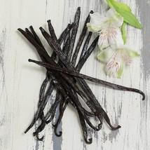 Madagascar Vanilla Planifolia Beans - Grade A - 4 oz (20-22 cm) - £62.03 GBP