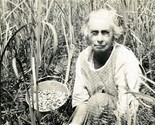 Grandma Picking Cranberries at Evan Berry Marsh Black &amp; White 1933 Photo... - $17.82