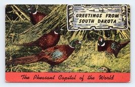 Pheasant Capitol Of the World Greetings South Dakota SD UNP Linen Postcard M4 - $4.05