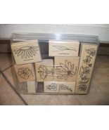 stampin up 2-step stampin in full bloom set of 9 discount 15% off today - £13.58 GBP