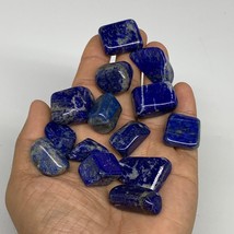 130.8g,0.7&quot;-1.2&quot;, 14pcs, Natural Lapis Lazuli Tumbled Stone @Afghanistan, B30286 - £12.32 GBP