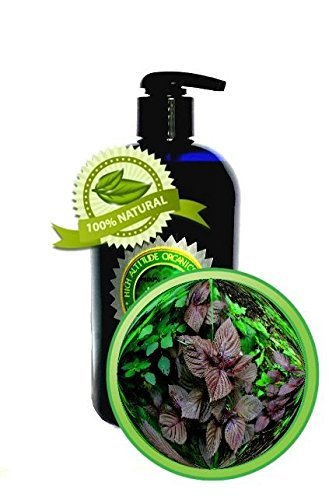 Perilla Seed Oil - 16oz - 100% PURE & Natural, Cold-pressed - by High Altitde Na
