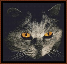 Cat Stare ~~ counted cross stitch pattern PDF - £12.82 GBP