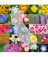 VT California Wildflower Mix Perennials &amp; AnnualsNon GMO 23 Species 1000... - $217.78 MXN