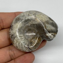 53.7g, 2.1&quot;x1.7&quot;x1&quot;, Goniatite Ammonite Polished Mineral from Morocco, F2009 - £9.59 GBP