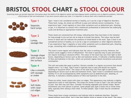 Bristol Stool Chart,  digital download PDF, stool health, healthy poop, ... - £3.14 GBP
