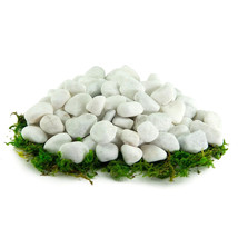 Porcelain Pebbles Natural White Stones Rock for Potted Plants Gardening Aquarium - £26.55 GBP