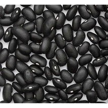 USA Seller Black Turtle Heirloom Bush Bean Seeds Fast Shipping - $16.79