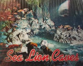 Sea Lion Caves 3D Fridge Magnet - £5.52 GBP