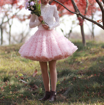 Blush Pink A-line Knee Length Tulle Skirt High Waisted Blush Puffy Holiday Skirt image 3