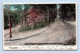 Horse Shoe Curve Boulevard Ann Arbor MI Michigan 1907 DB Postcard P13 - £3.91 GBP