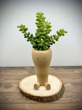 Carrot Succulent &amp; Cactus Planter Pot - £7.06 GBP
