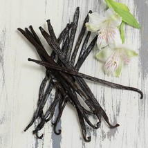 Madagascar Vanilla Planifolia Beans - Grade A - 2 oz (16-17cm) - £27.11 GBP