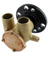 Water Pump Raw Crank Mount Volvo GM Indmar Ford V8 Johnson Pump 10-24232-1 - $4,324.98 MXN