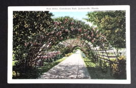 Rose Arbor Bower Confederate Park Flowers Jacksonville Florida FL Postca... - £3.14 GBP