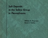 Salt Deposits in the Salina Group in Pennsylvania by William B. Fergusson - £8.11 GBP