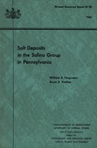 Salt Deposits in the Salina Group in Pennsylvania by William B. Fergusson - £8.03 GBP