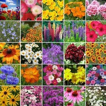 500 seeds Wildflower Mix NORTHEAST Regional 25 Species NonGMO wPerennials USA - £9.42 GBP