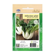 Mini Bok Choy Junior Seeds Home Garden Asian Fresh Vegetable The Best Thai Seeds - $7.99