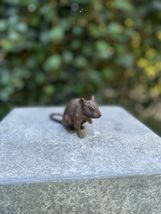 Little Mouse – Bronze Sculpture. 13x4x6cm - 0.2Kg-
show original title

... - $81.10