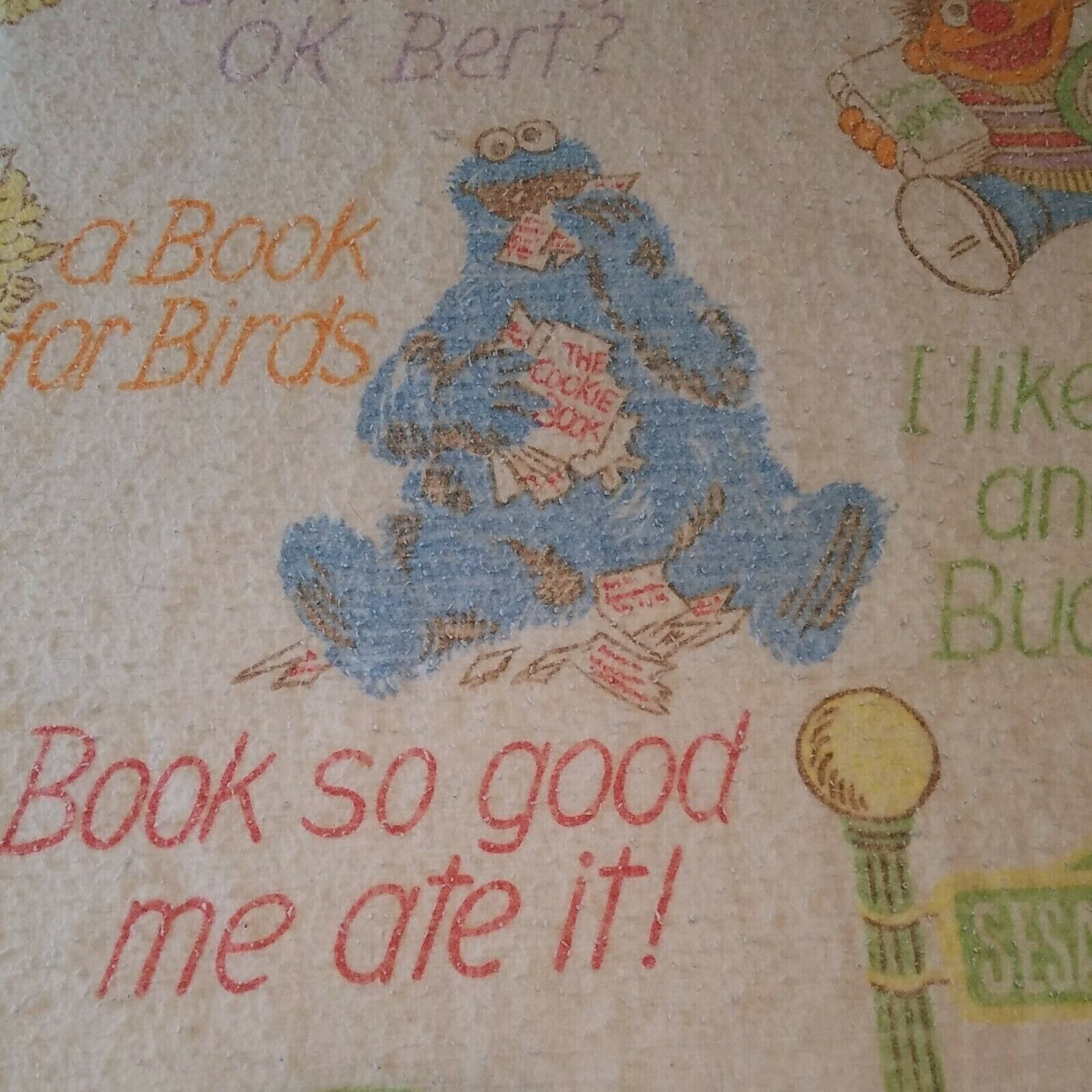 Sesame Street Twin Blanket Story Book Reading Bert Ernie Cookie Monster