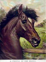 3853.Horse Painting Vintage 18x24 Poster.Room wall art design.Animal Art Decor. - £22.37 GBP