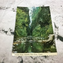 Vintage Postcard Oneota Gorge Columbia River Oregon Scenic Scalloped Edge - $5.93