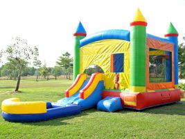 Commercial Carnival Wet Dry Slide 100% PVC Pool &amp; Blower Inflatable Bounce House - £1,393.95 GBP